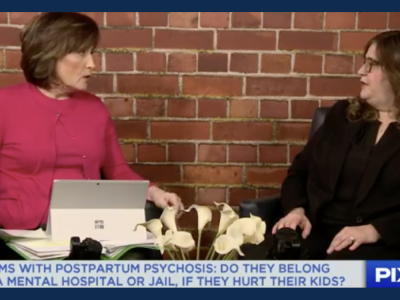 Screenshot Of Two Women Engaged In Deep Conversations About Postpartum Mental Health